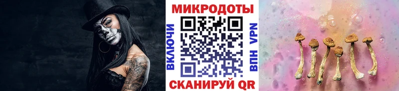 Галлюциногенные грибы Cubensis  как найти   Тарко-Сале 