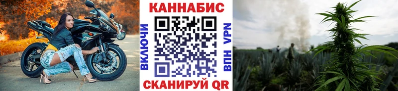 Бошки марихуана конопля  МЕГА рабочий сайт  Тарко-Сале  где купить  